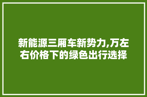 新能源三厢车新势力,万左右价格下的绿色出行选择