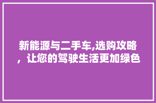 新能源与二手车,选购攻略，让您的驾驶生活更加绿色环保