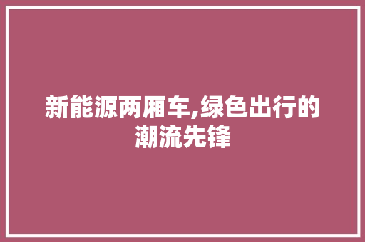 新能源两厢车,绿色出行的潮流先锋