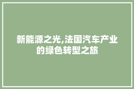 新能源之光,法国汽车产业的绿色转型之旅