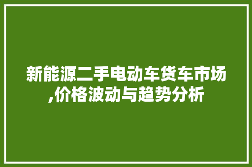 新能源二手电动车货车市场,价格波动与趋势分析