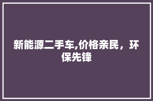 新能源二手车,价格亲民，环保先锋