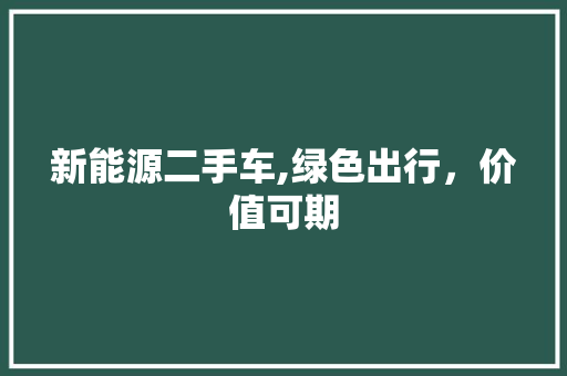 新能源二手车,绿色出行，价值可期