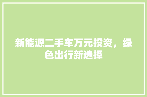 新能源二手车万元投资，绿色出行新选择