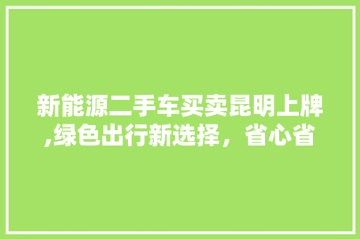 新能源二手车买卖昆明上牌,绿色出行新选择，省心省力享便捷