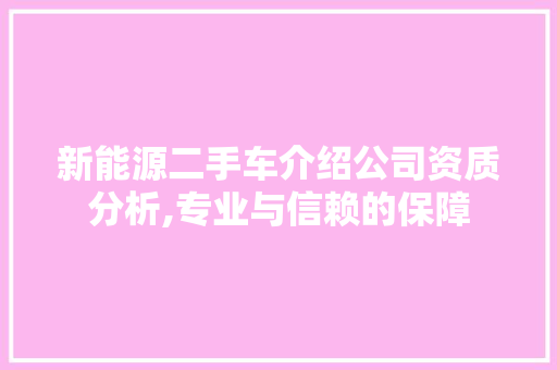 新能源二手车介绍公司资质分析,专业与信赖的保障