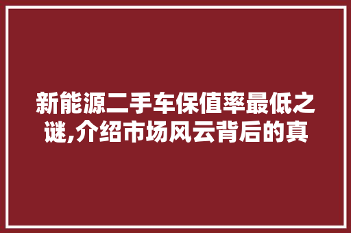 新能源二手车保值率最低之谜,介绍市场风云背后的真相