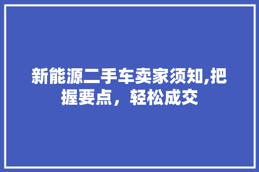 新能源二手车卖家须知,把握要点，轻松成交