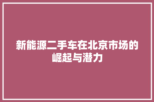 新能源二手车在北京市场的崛起与潜力