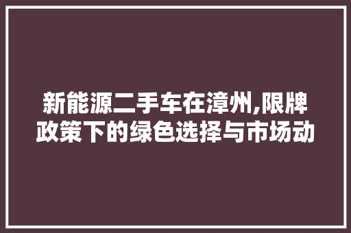 新能源二手车在漳州,限牌政策下的绿色选择与市场动态