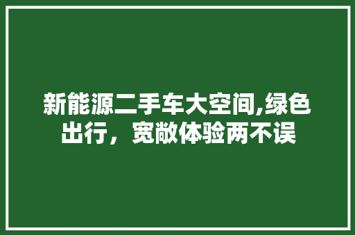 新能源二手车大空间,绿色出行，宽敞体验两不误