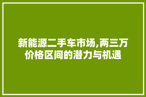 新能源二手车市场,两三万价格区间的潜力与机遇