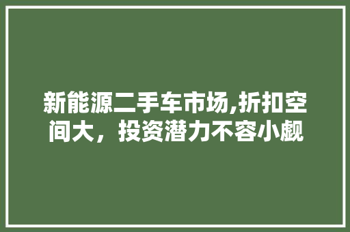 新能源二手车市场,折扣空间大，投资潜力不容小觑