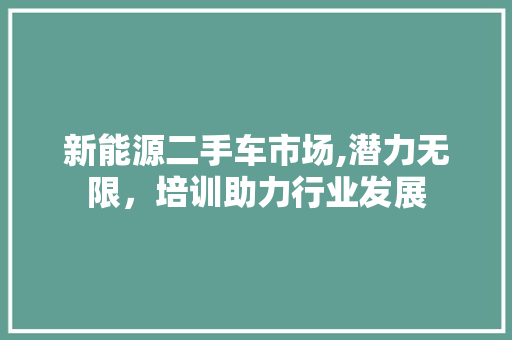 新能源二手车市场,潜力无限，培训助力行业发展