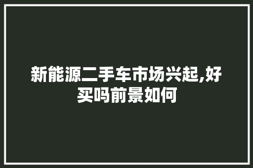 新能源二手车市场兴起,好买吗前景如何