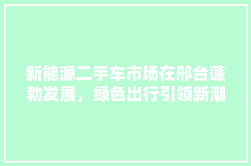 新能源二手车市场在邢台蓬勃发展，绿色出行引领新潮流