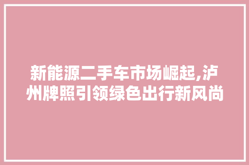 新能源二手车市场崛起,泸州牌照引领绿色出行新风尚