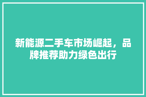 新能源二手车市场崛起，品牌推荐助力绿色出行