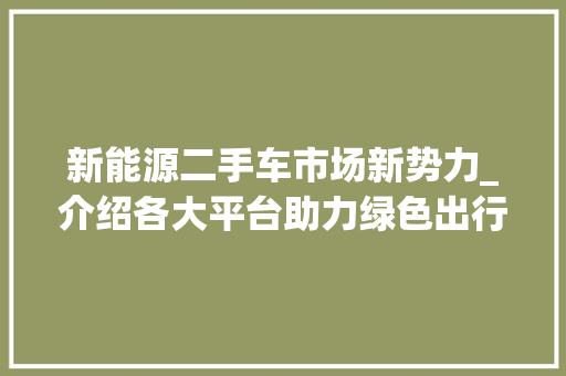 新能源二手车市场新势力_介绍各大平台助力绿色出行