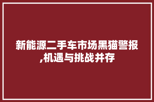 新能源二手车市场黑猫警报,机遇与挑战并存