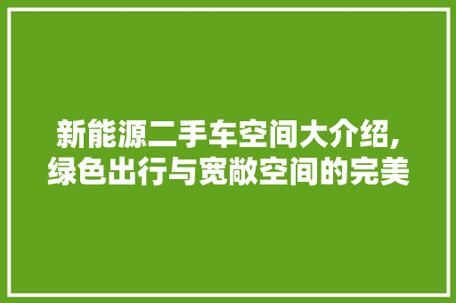 新能源二手车空间大介绍,绿色出行与宽敞空间的完美融合