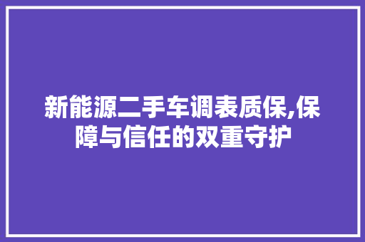 新能源二手车调表质保,保障与信任的双重守护