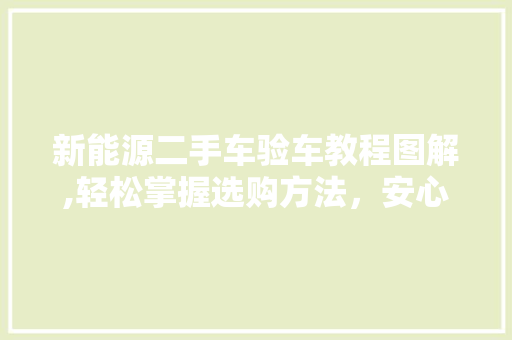 新能源二手车验车教程图解,轻松掌握选购方法，安心享受绿色出行