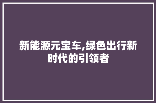 新能源元宝车,绿色出行新时代的引领者