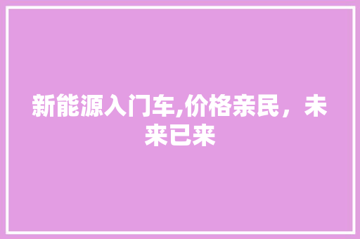 新能源入门车,价格亲民，未来已来  第1张