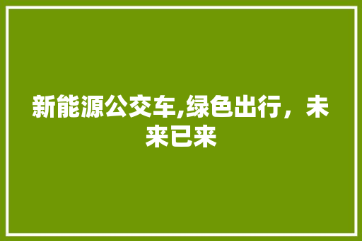 新能源公交车,绿色出行，未来已来