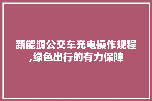 新能源公交车充电操作规程,绿色出行的有力保障  第1张