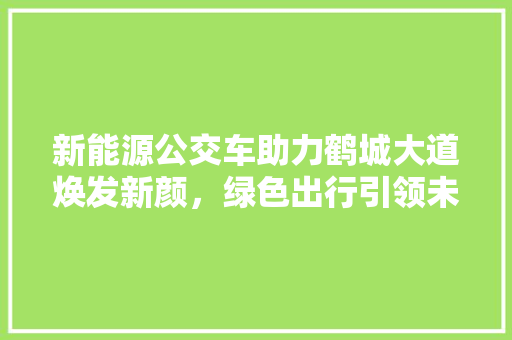 新能源公交车助力鹤城大道焕发新颜，绿色出行引领未来风尚