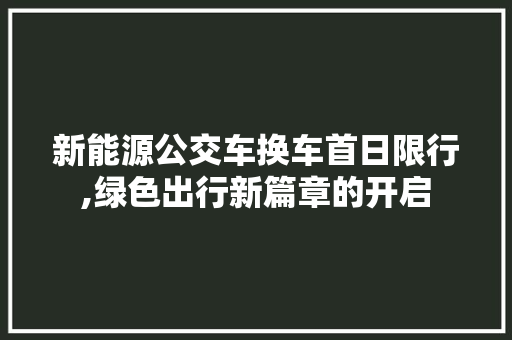 新能源公交车换车首日限行,绿色出行新篇章的开启