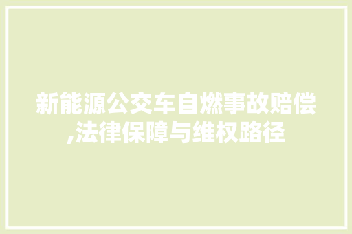 新能源公交车自燃事故赔偿,法律保障与维权路径