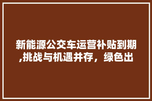 新能源公交车运营补贴到期,挑战与机遇并存，绿色出行未来可期