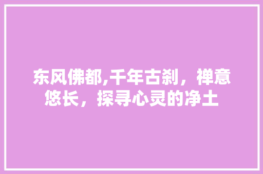 东风佛都,千年古刹，禅意悠长，探寻心灵的净土  第1张