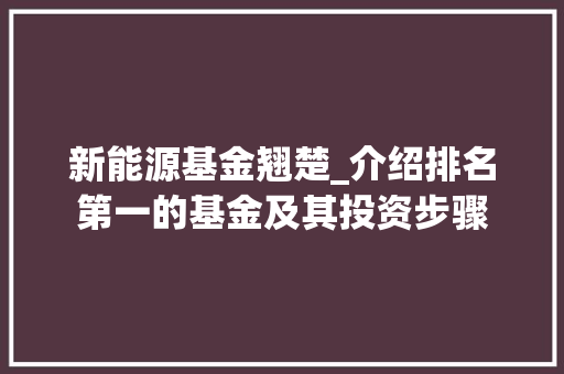 新能源基金翘楚_介绍排名第一的基金及其投资步骤  第1张