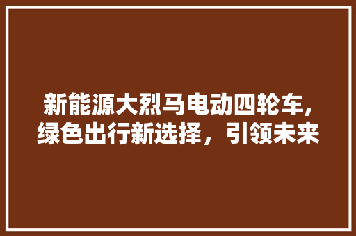 新能源大烈马电动四轮车,绿色出行新选择，引领未来交通潮流