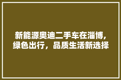 新能源奥迪二手车在淄博,绿色出行，品质生活新选择