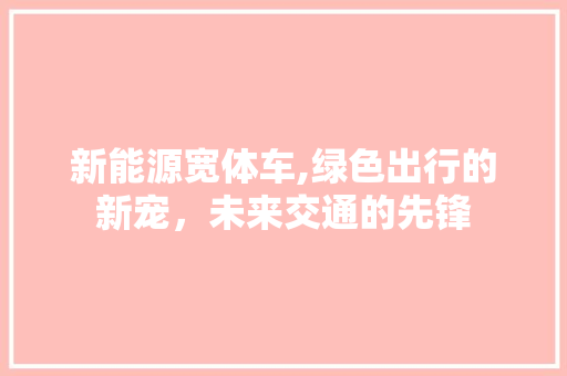 新能源宽体车,绿色出行的新宠，未来交通的先锋