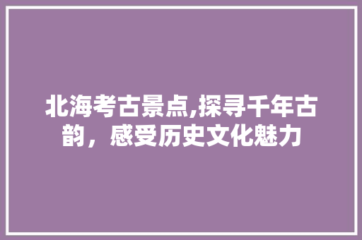 北海考古景点,探寻千年古韵，感受历史文化魅力