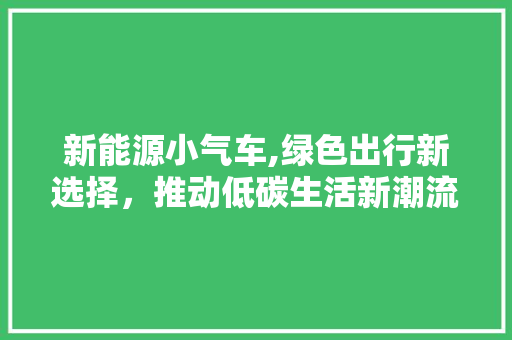 新能源小气车,绿色出行新选择，推动低碳生活新潮流