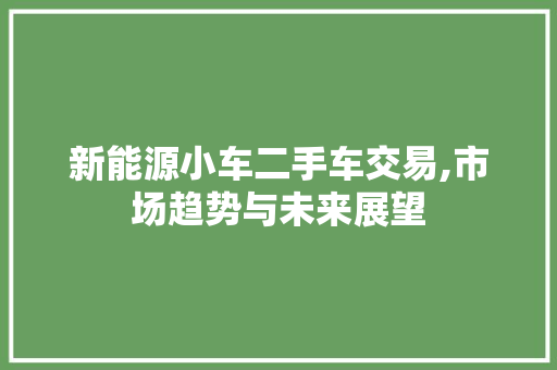 新能源小车二手车交易,市场趋势与未来展望