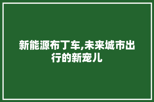 新能源布丁车,未来城市出行的新宠儿