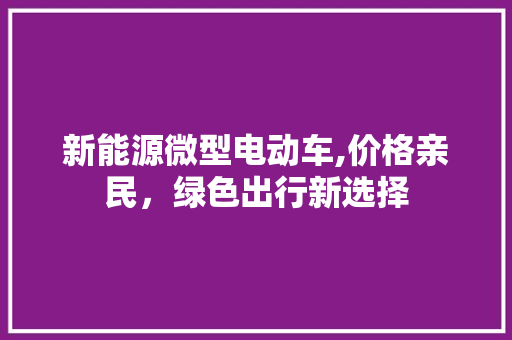 新能源微型电动车,价格亲民，绿色出行新选择