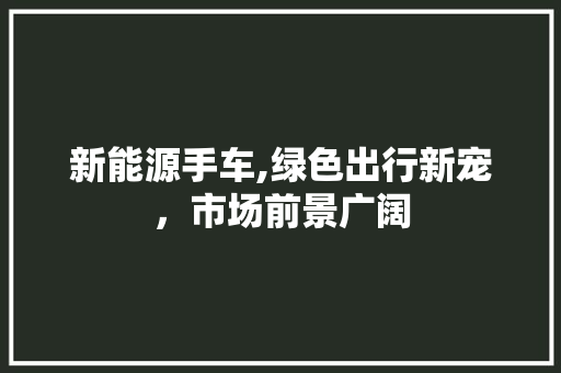 新能源手车,绿色出行新宠，市场前景广阔