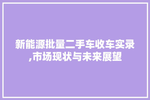 新能源批量二手车收车实录,市场现状与未来展望