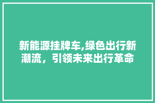 新能源挂牌车,绿色出行新潮流，引领未来出行革命