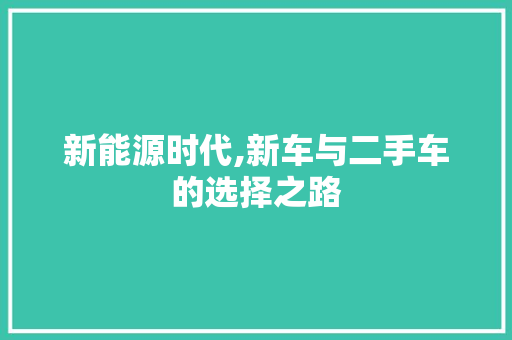 新能源时代,新车与二手车的选择之路