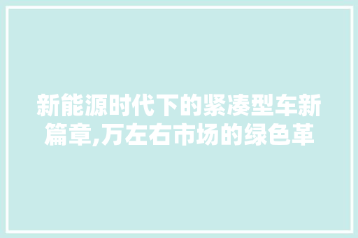 新能源时代下的紧凑型车新篇章,万左右市场的绿色革命